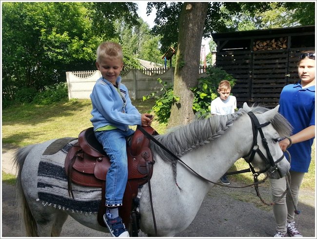 Trzy święta za jednym razem - zdjęcia