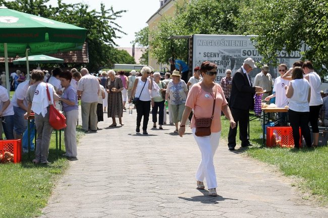 Seniorzy opanowali Świętą Górę - zdjęcia
