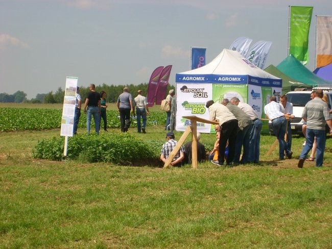 O burakach wiedzą najwięcej - zdjęcia