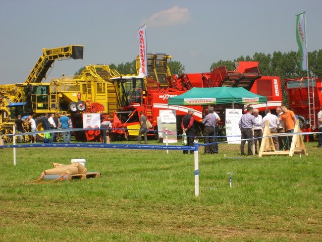 O burakach wiedzą najwięcej - zdjęcia
