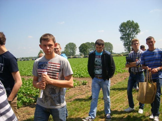 O burakach wiedzą najwięcej - zdjęcia