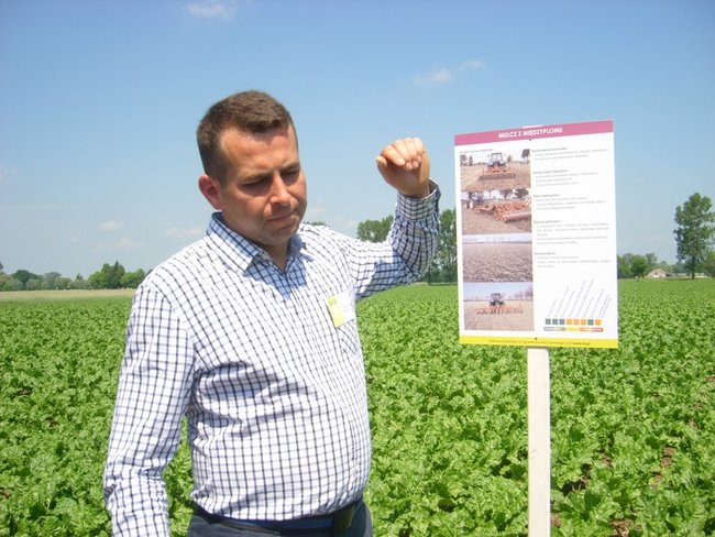 O burakach wiedzą najwięcej - zdjęcia