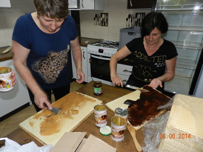 Będą bić rekord świata - zdjęcia