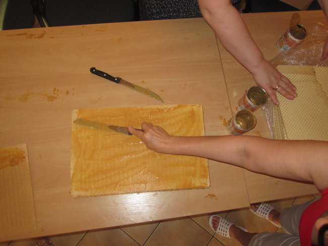 Będą bić rekord świata - zdjęcia