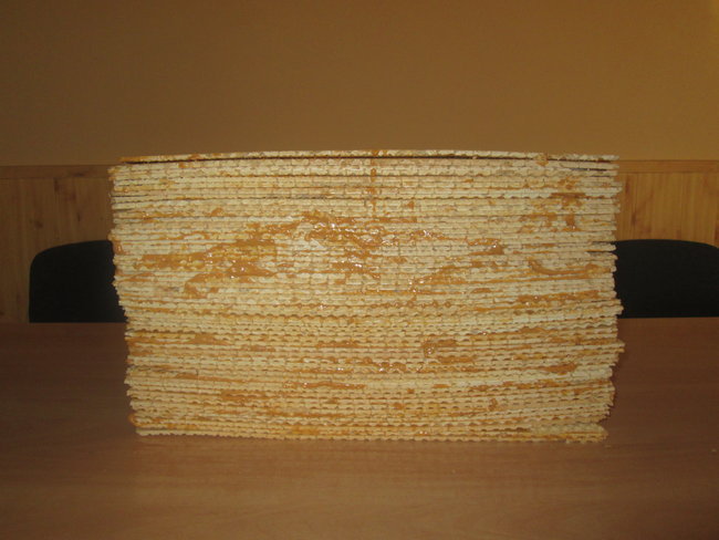 Będą bić rekord świata - zdjęcia