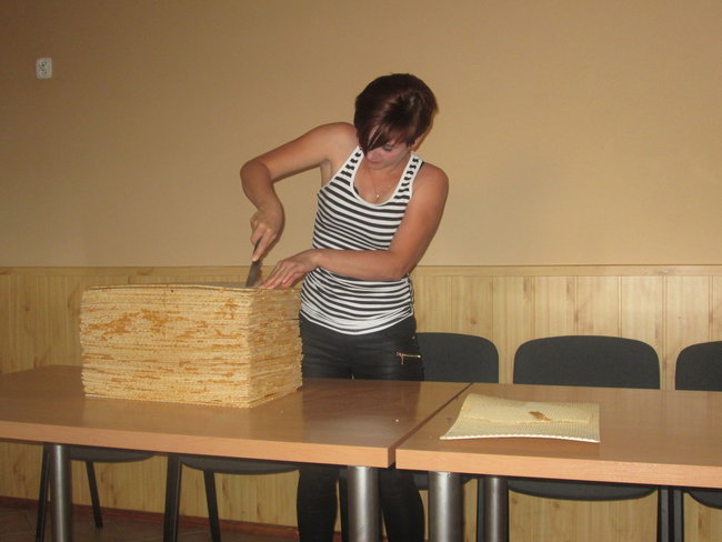 Będą bić rekord świata - zdjęcia