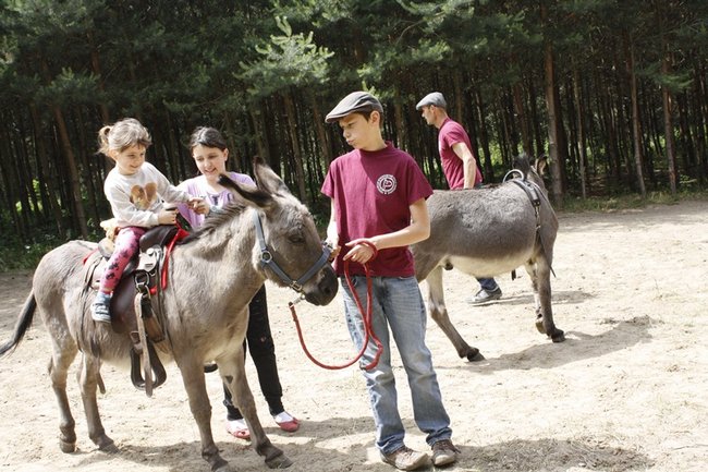 Radości nie było końca - zdjęcia
