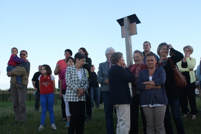 Puszczali wianki po stawie - zdjęcia