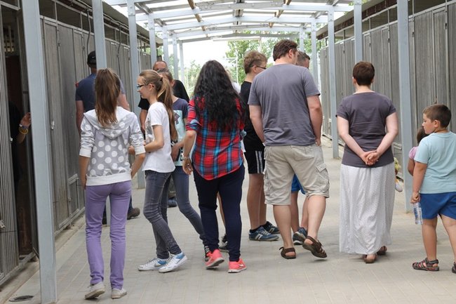 Dzień Psa w schronisku