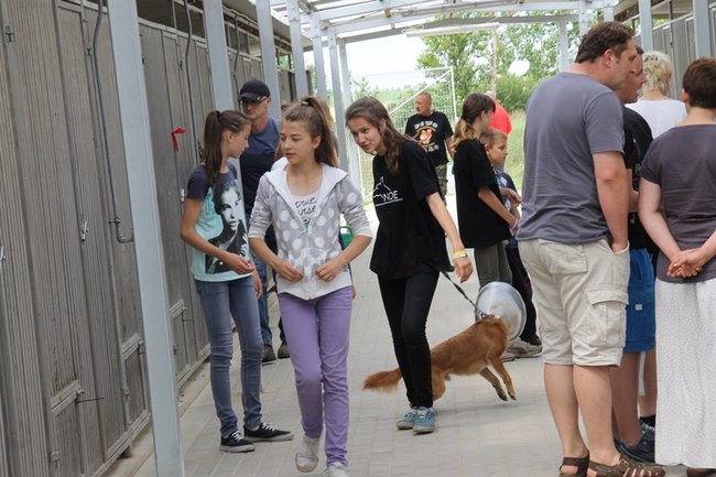 Dzień Psa w schronisku