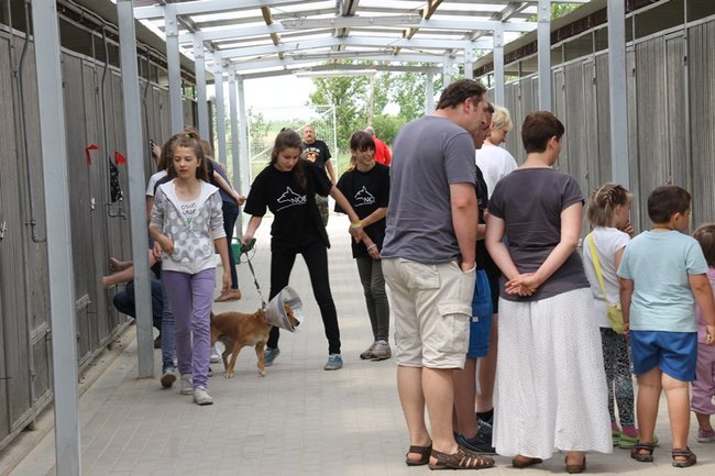 Dzień Psa w schronisku