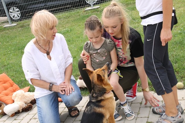 Dzień Psa w schronisku