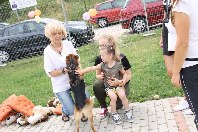 Dzień Psa w schronisku