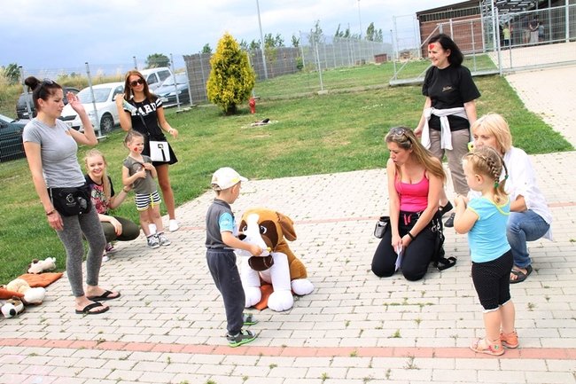 Dzień Psa w schronisku