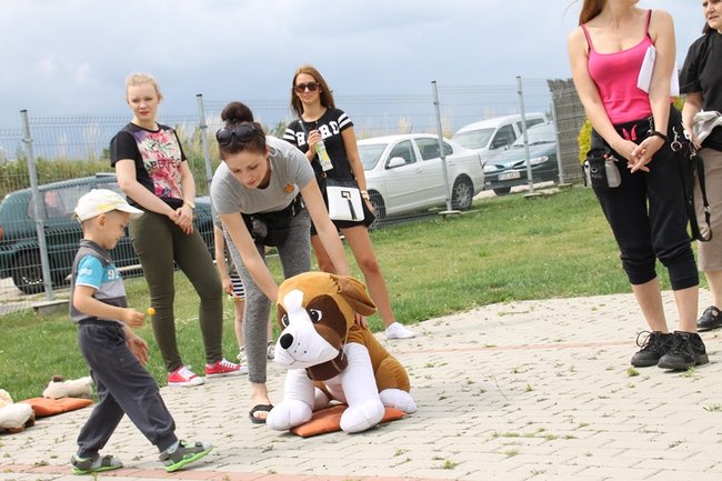 Dzień Psa w schronisku