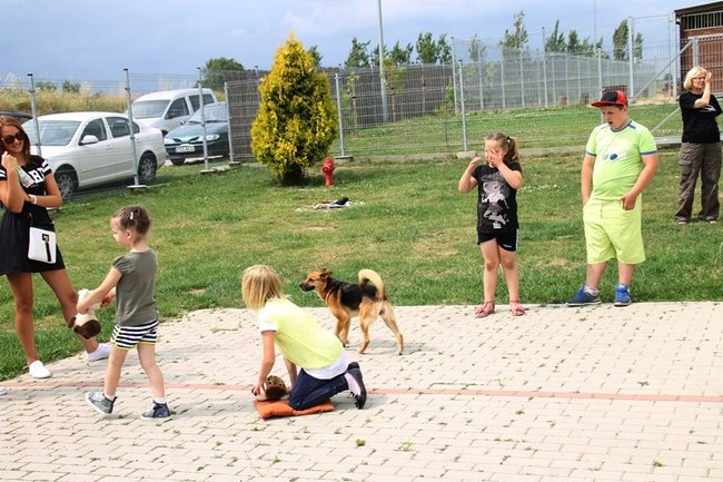 Dzień Psa w schronisku