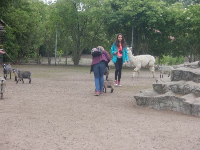 Nauka się opłaciła - zdjęcia