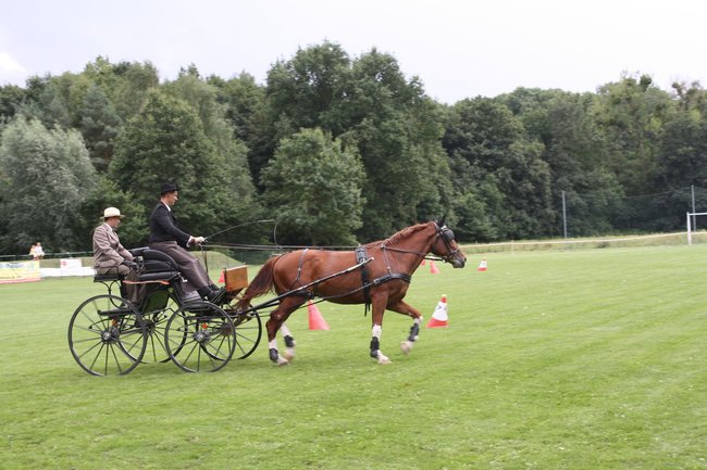 Tłumy na zawodach  - zdjęcia