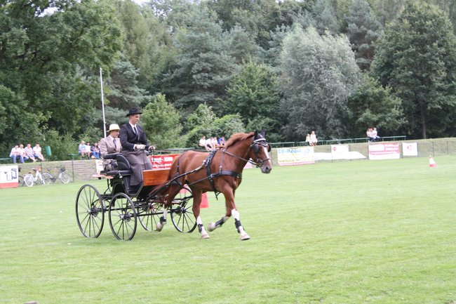 Tłumy na zawodach  - zdjęcia