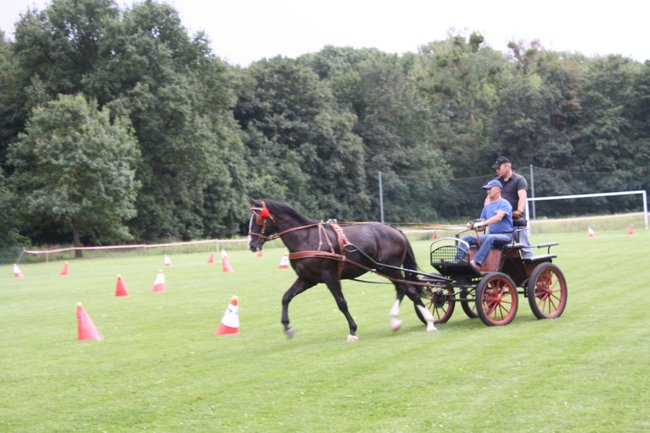 Tłumy na zawodach  - zdjęcia