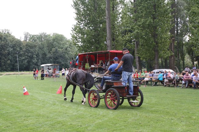 Tłumy na zawodach  - zdjęcia