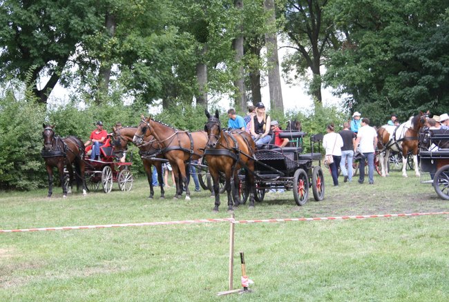 Tłumy na zawodach  - zdjęcia