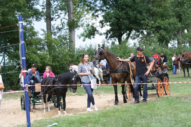Tłumy na zawodach  - zdjęcia