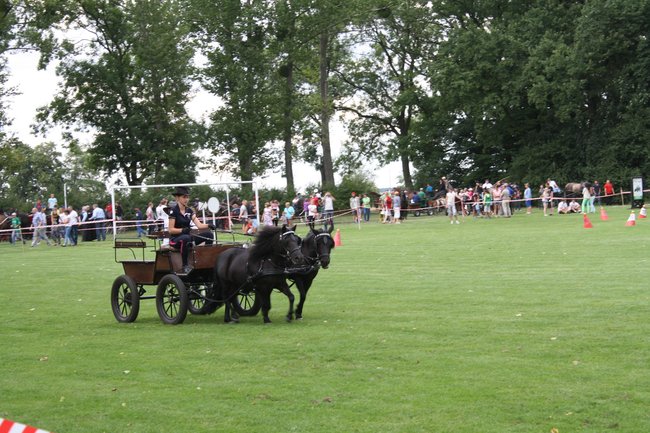 Tłumy na zawodach  - zdjęcia