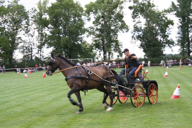Tłumy na zawodach  - zdjęcia