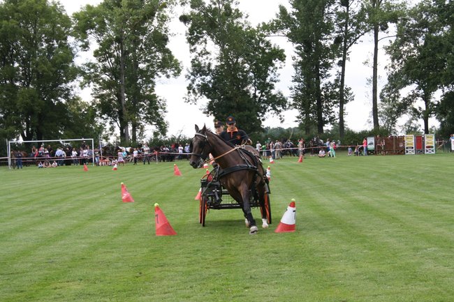 Tłumy na zawodach  - zdjęcia