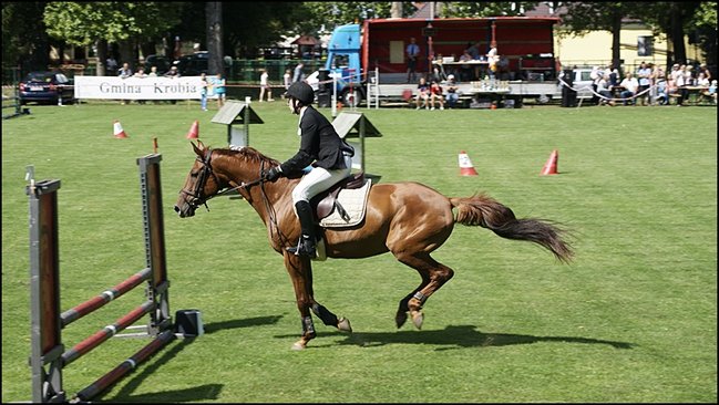 Tłumy na zawodach  - zdjęcia
