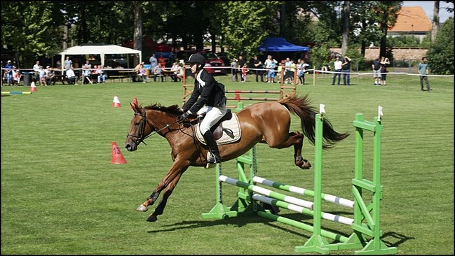 Tłumy na zawodach  - zdjęcia
