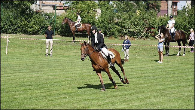 Tłumy na zawodach  - zdjęcia