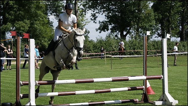 Tłumy na zawodach  - zdjęcia