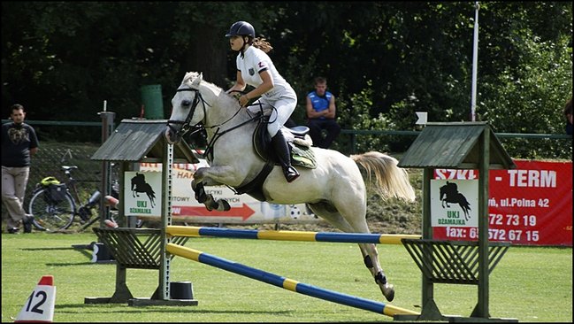 Tłumy na zawodach  - zdjęcia