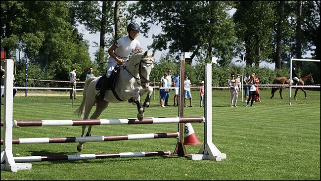 Tłumy na zawodach  - zdjęcia