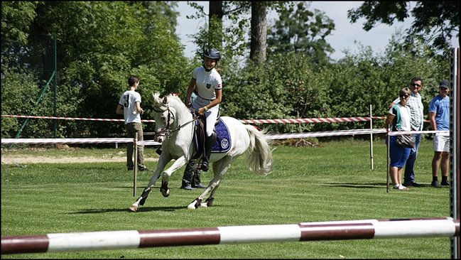 Tłumy na zawodach  - zdjęcia