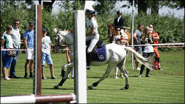 Tłumy na zawodach  - zdjęcia