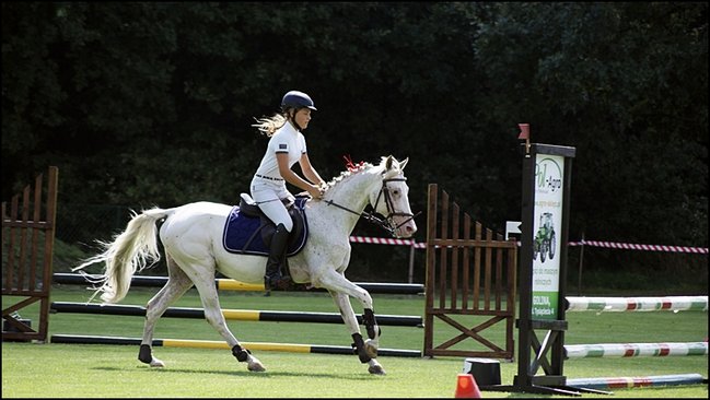 Tłumy na zawodach  - zdjęcia
