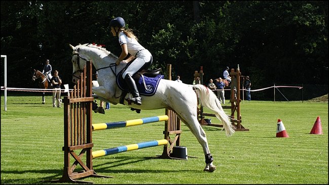 Tłumy na zawodach  - zdjęcia