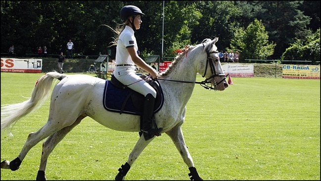 Tłumy na zawodach  - zdjęcia