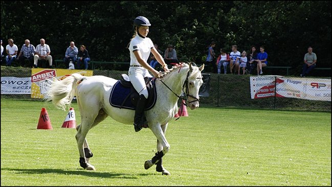 Tłumy na zawodach  - zdjęcia