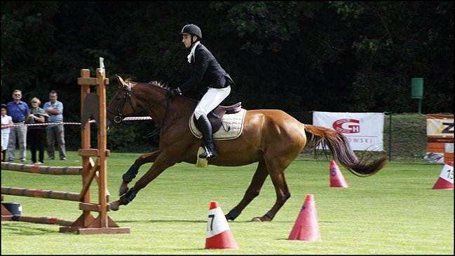 Tłumy na zawodach  - zdjęcia