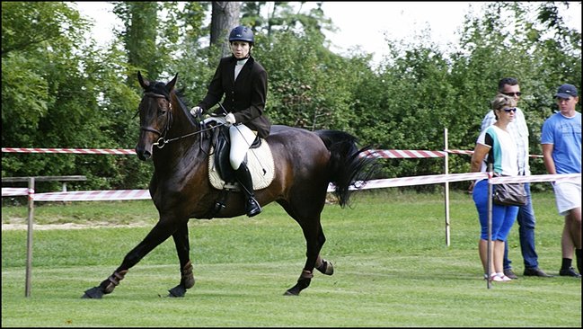 Tłumy na zawodach  - zdjęcia