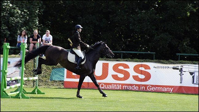Tłumy na zawodach  - zdjęcia