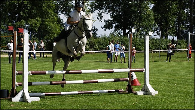 Tłumy na zawodach  - zdjęcia
