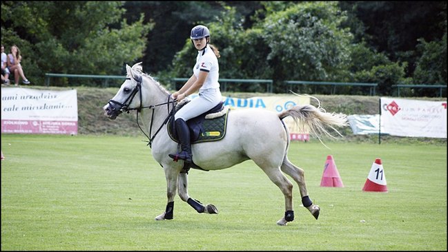Tłumy na zawodach  - zdjęcia