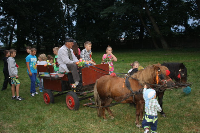 Każdy znalazł coś dla siebie - zdjęcia