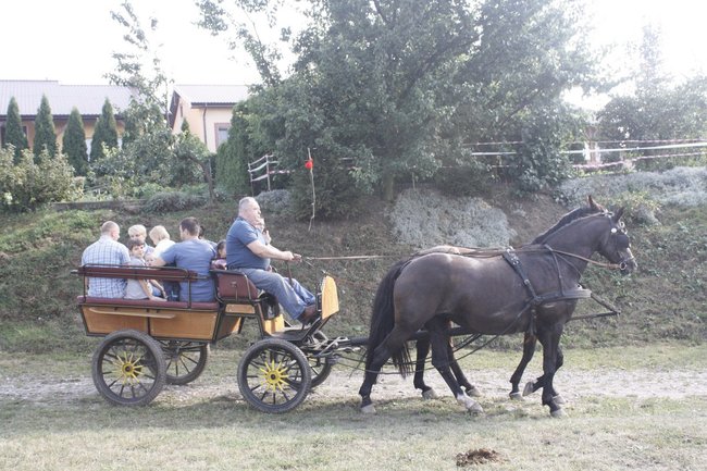 Festyn z szachownicą - zdjęcia