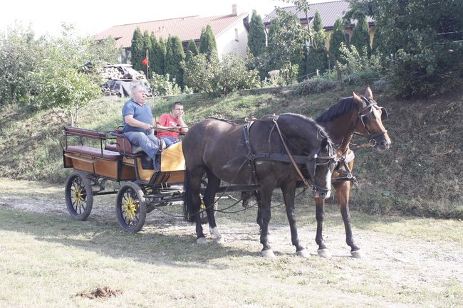 Festyn z szachownicą - zdjęcia